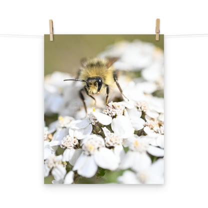 Poster - Hummel 5